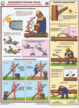 ПС25 Бензомоторная пила. Безопасность работ на лесосеке (пластик, А2, 3 листа) - Плакаты - Безопасность труда - Магазин охраны труда и техники безопасности stroiplakat.ru