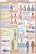 ПС02 Оказание первой помощи пострадавшим (бумага, А2, 6 листов) - Плакаты - Медицинская помощь - Магазин охраны труда и техники безопасности stroiplakat.ru